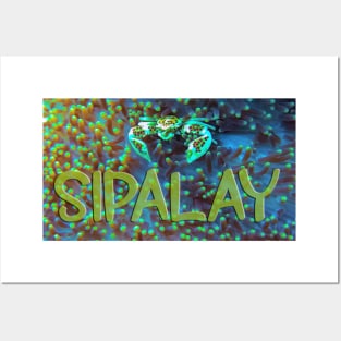 SIPALAY Posters and Art